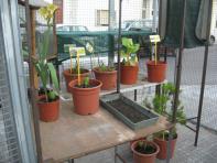 foto di Biocentralina