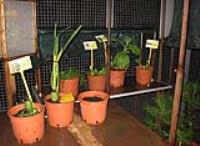 foto di Foto Biocentralina