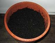 foto di Terreno