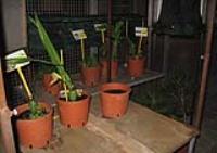 foto di Foto Biocentralina