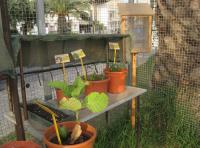 foto di Biocentralina