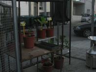foto di Biocentralina