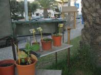 foto di Biocentralina