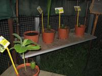 foto di Biocentralina
