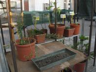 foto di Biocentralina
