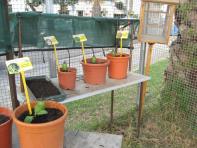 foto di Biocentralina