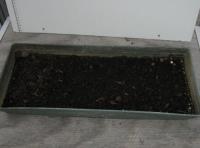 foto di Terreno
