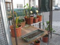 foto di Biocentralina