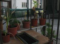 foto di Biocentralina