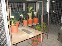 foto di Biocentralina