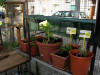 foto di Biocentralina