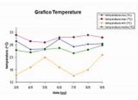 Grafico delle temperature