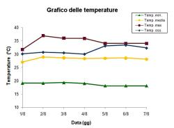 Grafico delle temperature