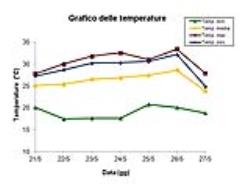 Grafico delle temperature