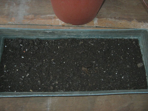 foto: Terreno